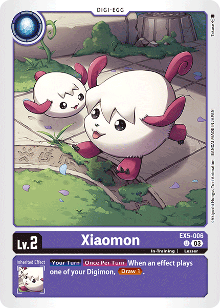 EX5-006